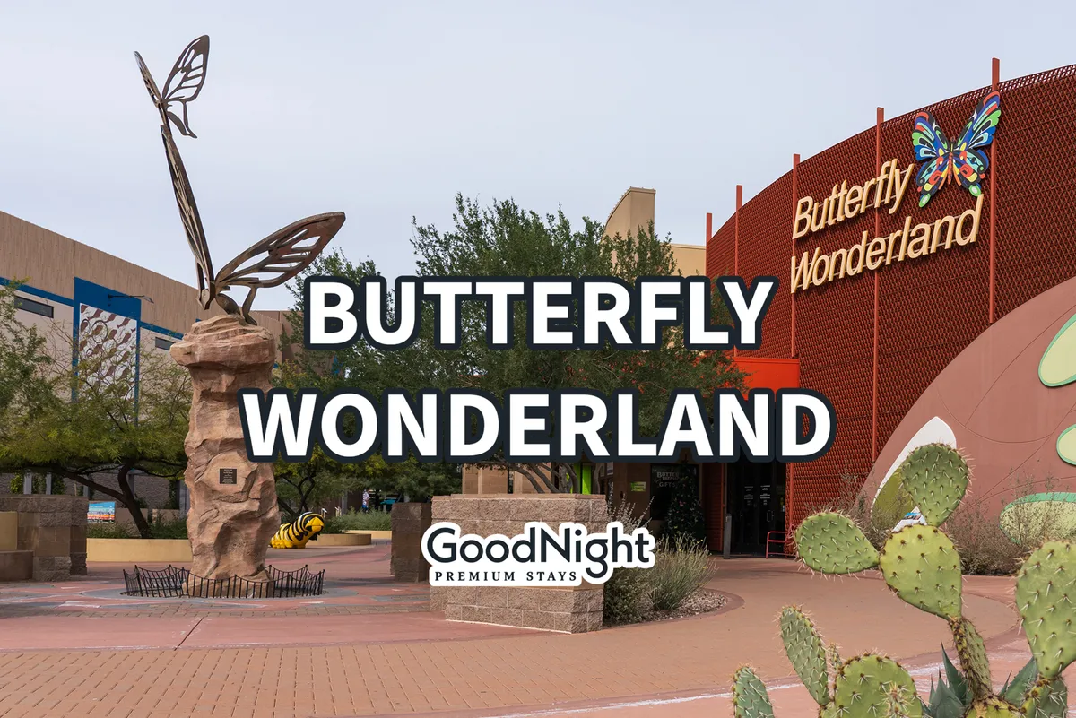 A bright exterior shot of Butterfly Wonderland, featuring its building, a striking butterfly sculpture, and desert plants in the foreground. The setting invites visitors and suggests a fun, educational destination for children and families.