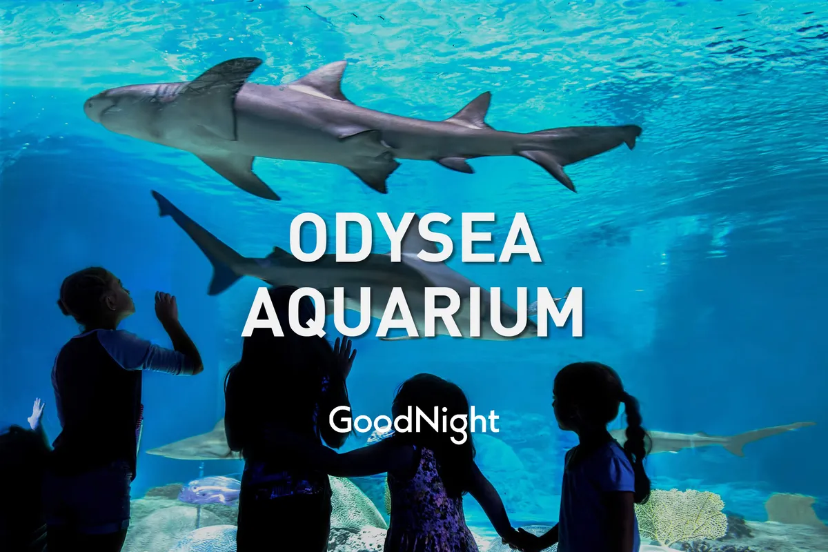 Children are seen marveling at sharks swimming in a large aquarium tank. The scene is full of wonder and curiosity, showing kids engaged in learning and bonding moments with family members.
