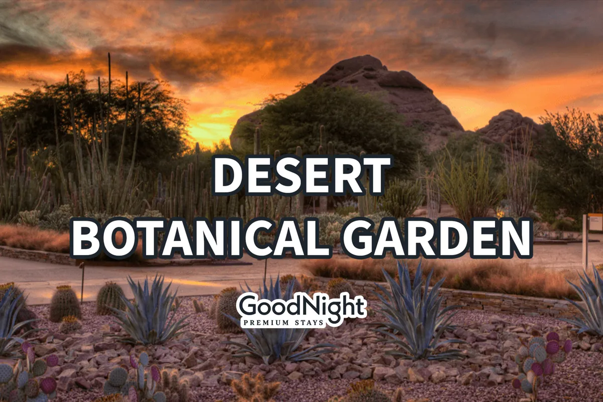 A serene desert landscape featuring towering cacti, unique rock formations, and a colorful sunset sky. The natural setting encourages peaceful strolls and immerses viewers in the distinctive Arizona environment.